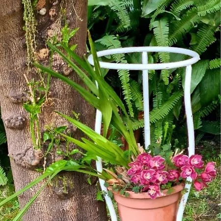 Fronte Mare Con Giardino Pietra Ligure